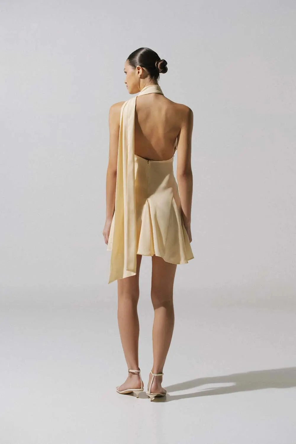Ari Mini Dress sold by BAOBAB product image thumbnail 4