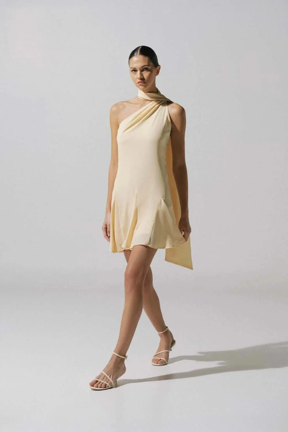 Ari Mini Dress sold by BAOBAB product image thumbnail 5