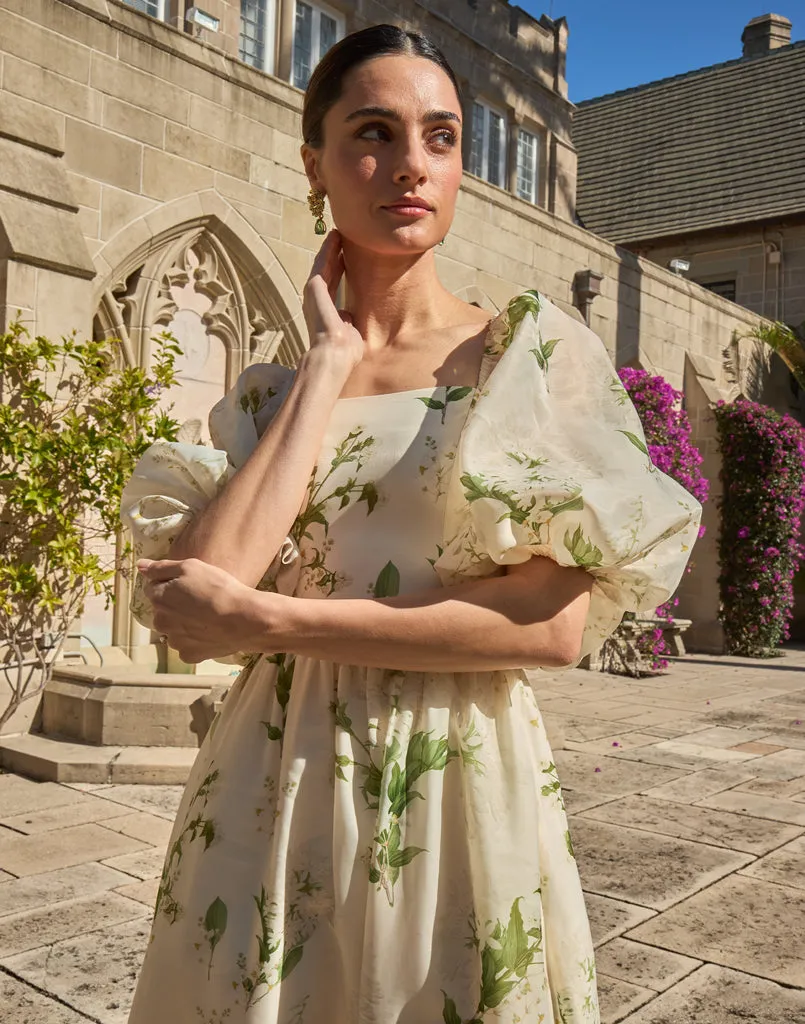 Delphine Midi Dress sold by MESTIZA product image thumbnail 2