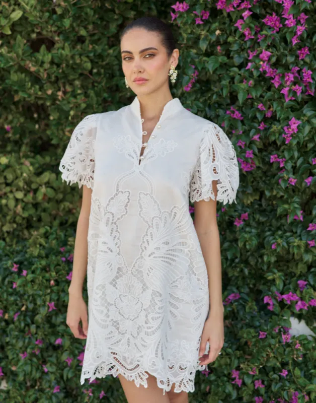 Elliana Lace Mini Dress made by MESTIZA