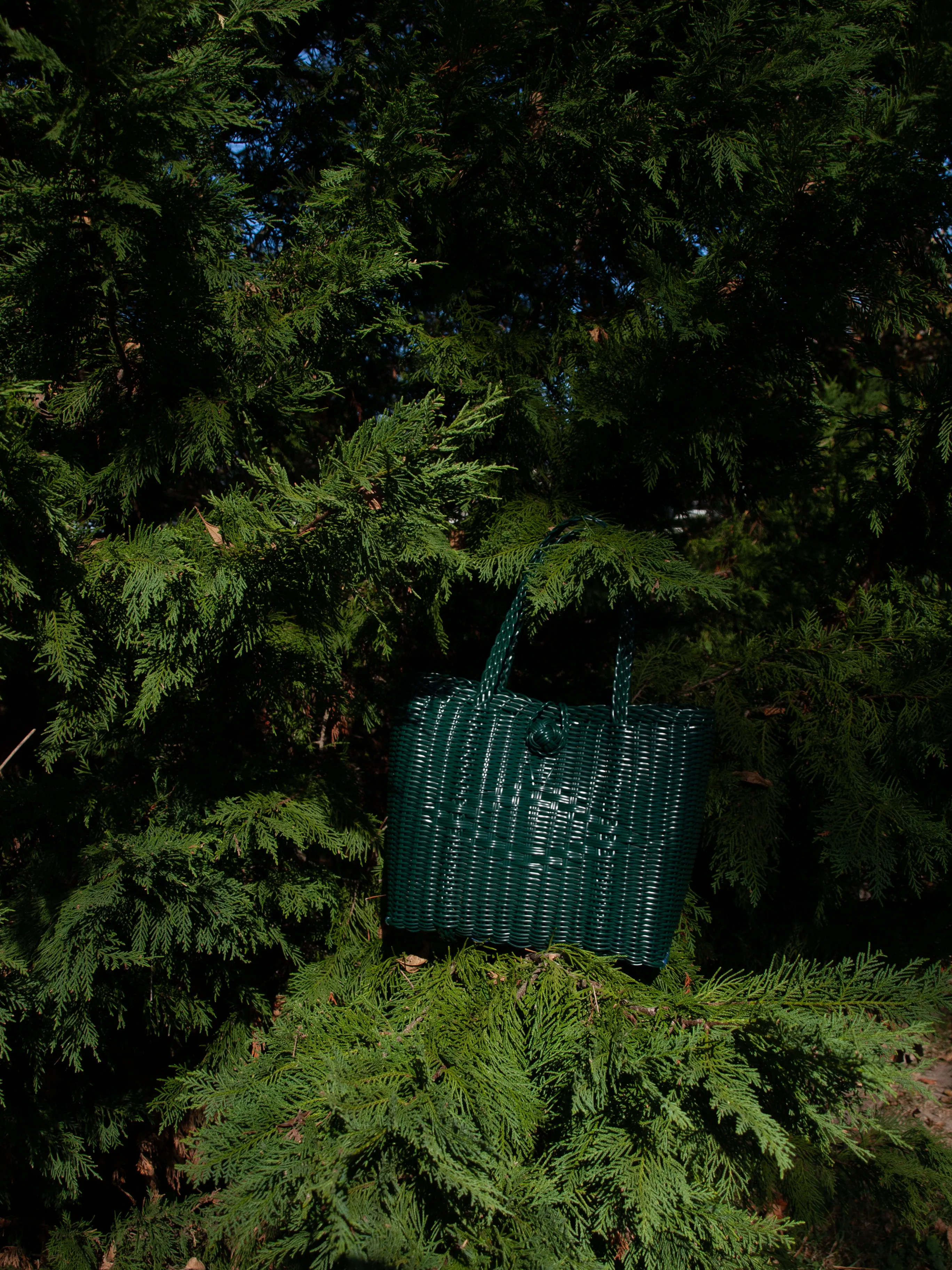 Small | Solid Evergreen sold by The Lilley Line product image thumbnail 5