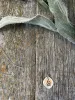 BONFIRE NECKLACE sold by Oh Canada WPG