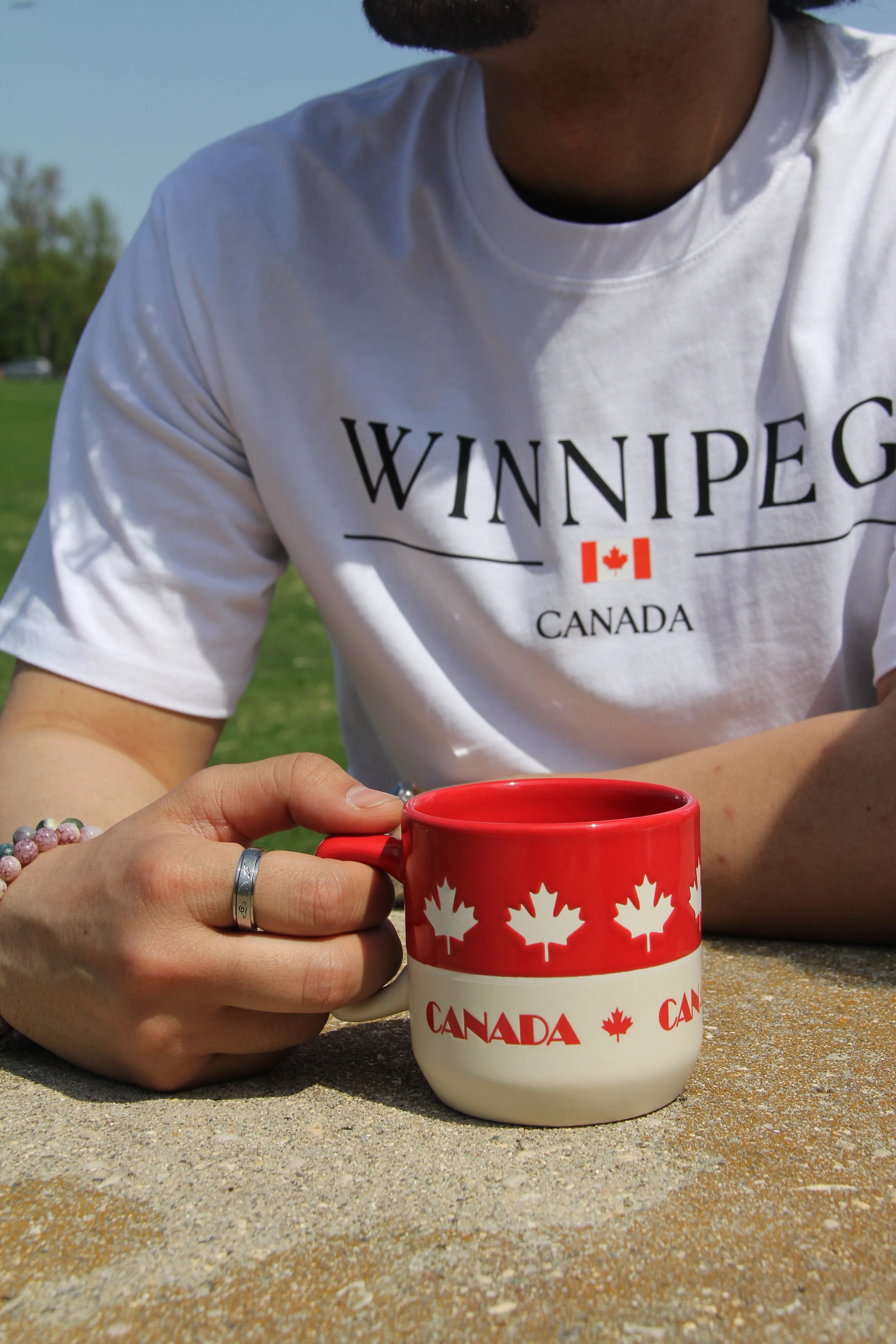 WINNIPEG CANADA FLAG T-SHIRT sold by Oh Canada WPG