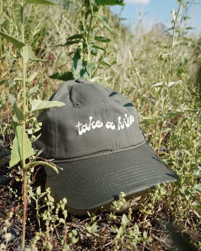Take A Hike Embroidered Dad Cap Cypress sold by Camp Brand Goods