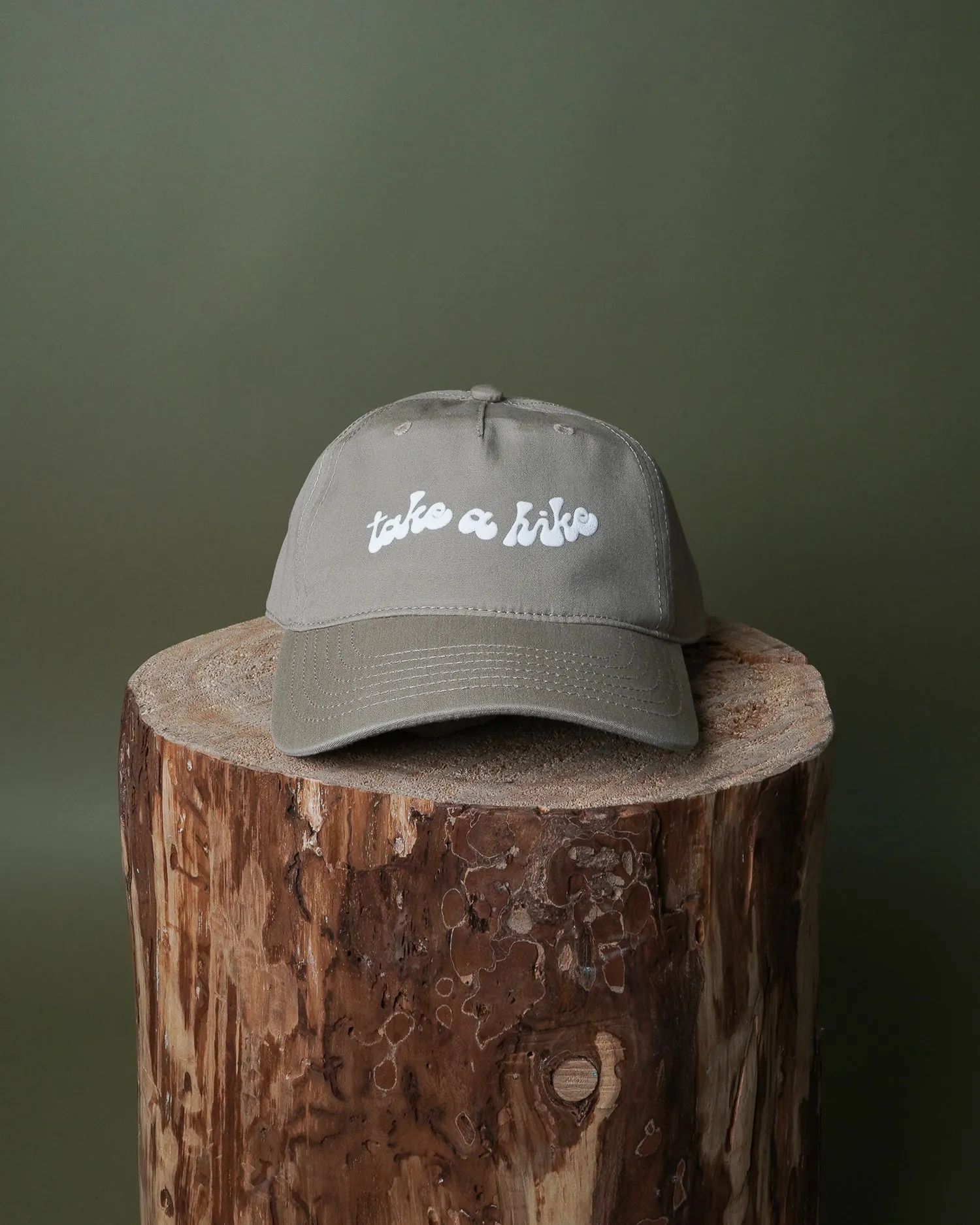 Take A Hike Dad Cap sold by Camp Brand Goods product image thumbnail 3