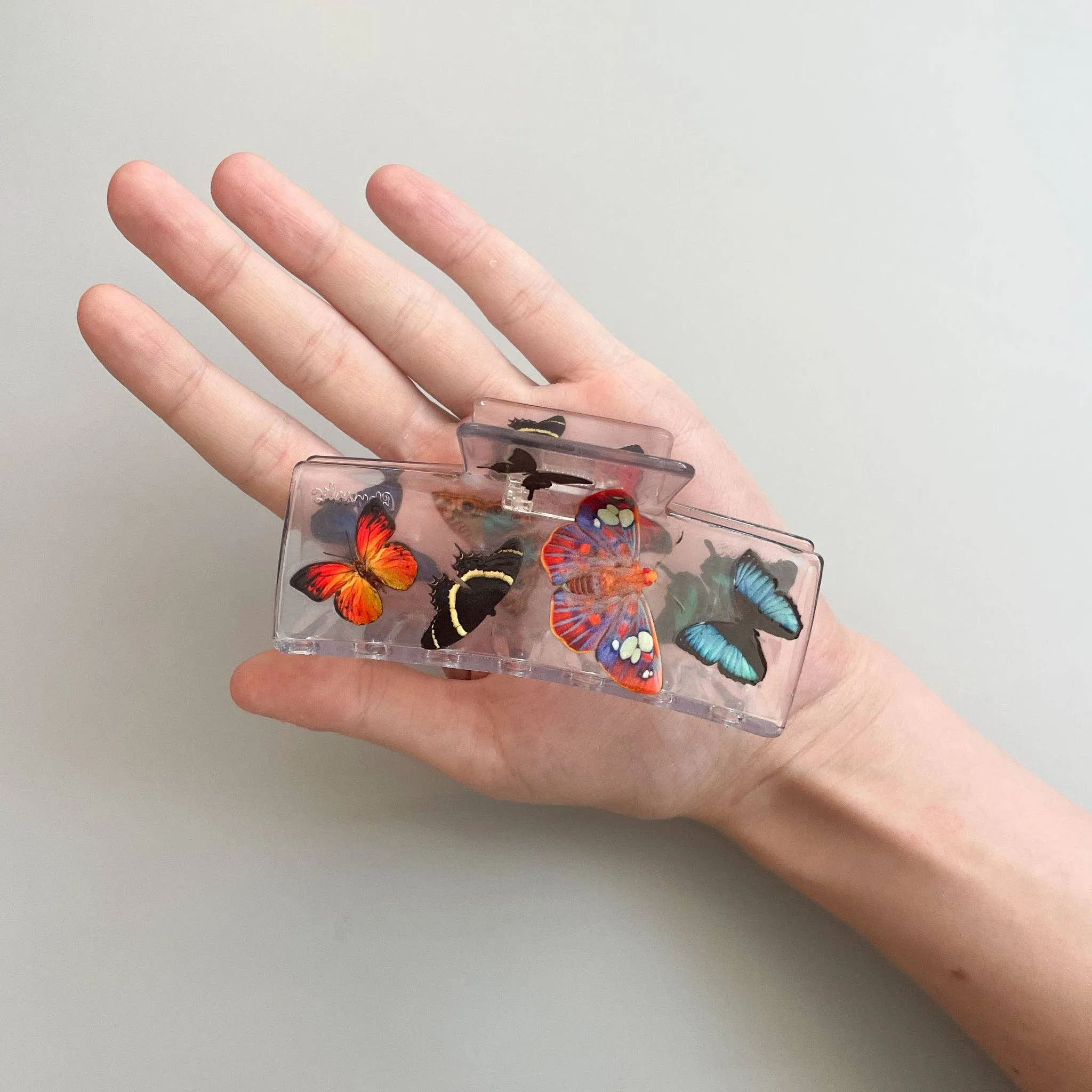 Box Claw in Butterfly sold by Camp Brand Goods product image thumbnail 5