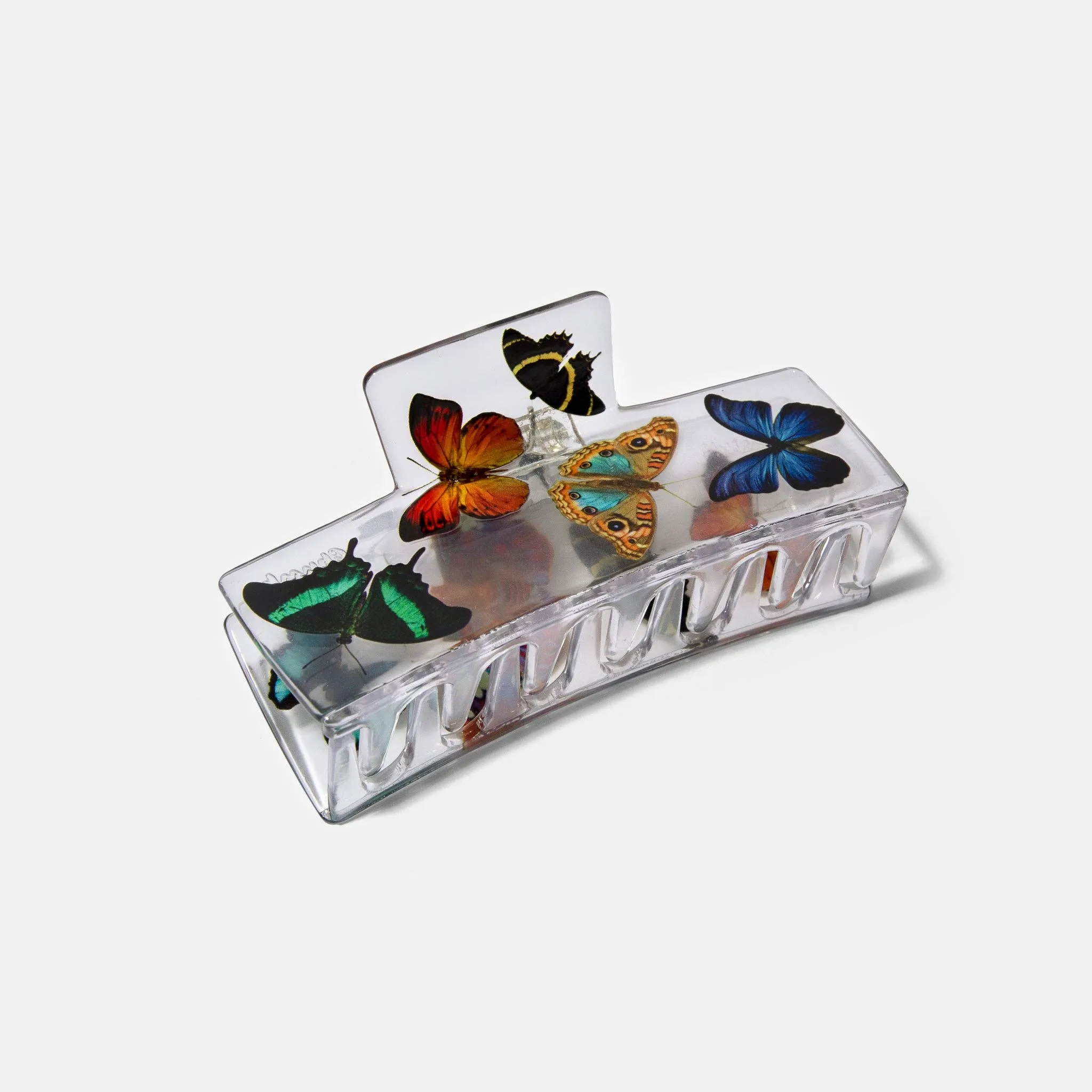 Box Claw in Butterfly sold by Camp Brand Goods product image thumbnail 4
