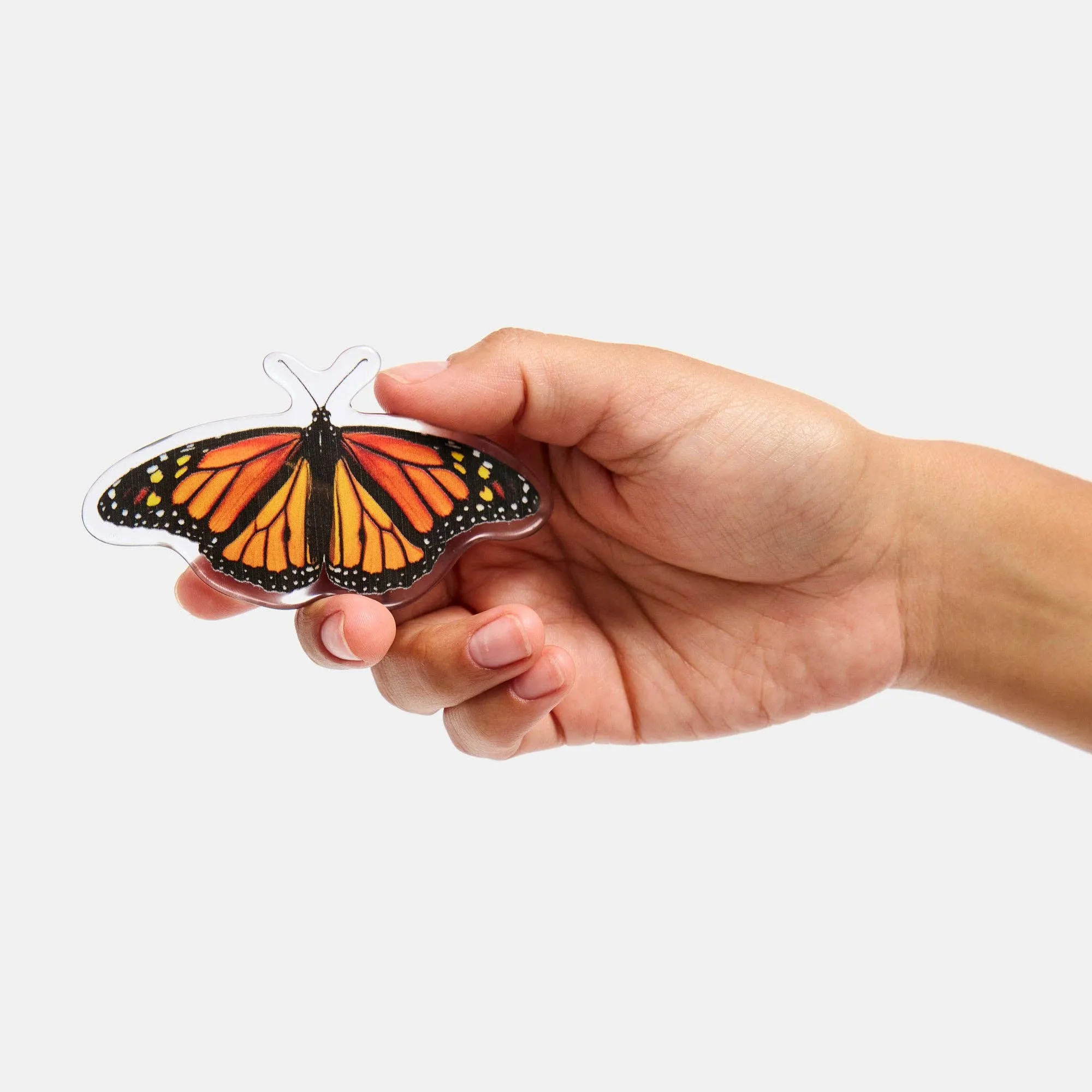 Barrette in Monarch Butterfly sold by Camp Brand Goods product image thumbnail 5