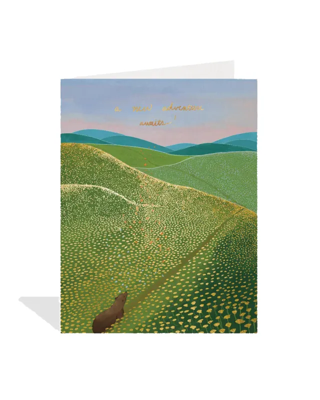 New Adventure Bear Card sold by Camp Brand Goods