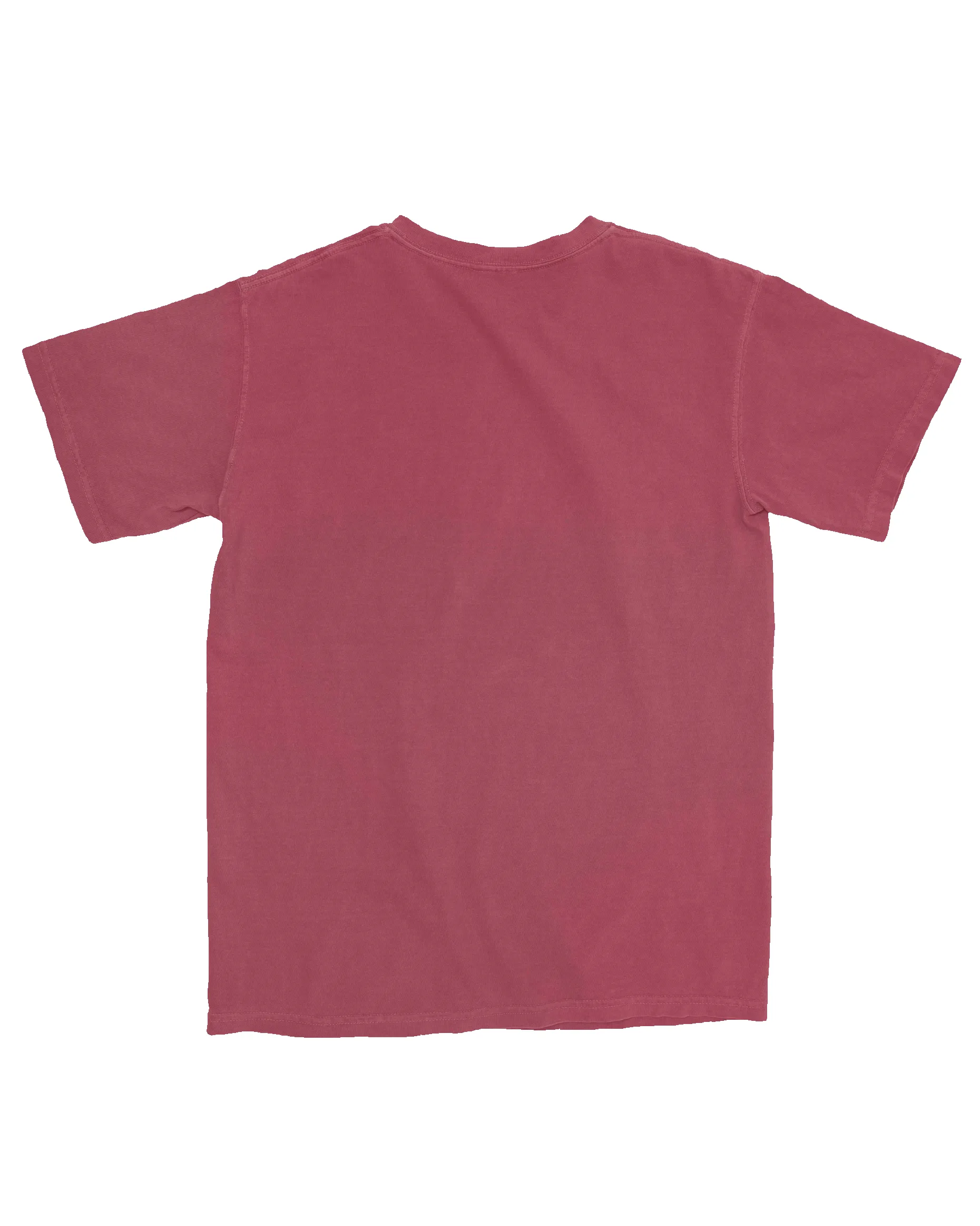 Kananaskis Vintage Tee - Faded Brick sold by Camp Brand Goods product image thumbnail 2