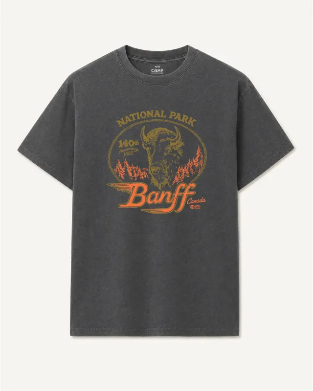 Banff Bison Vintage T-Shirt - Faded Black made by Camp Brand Goods