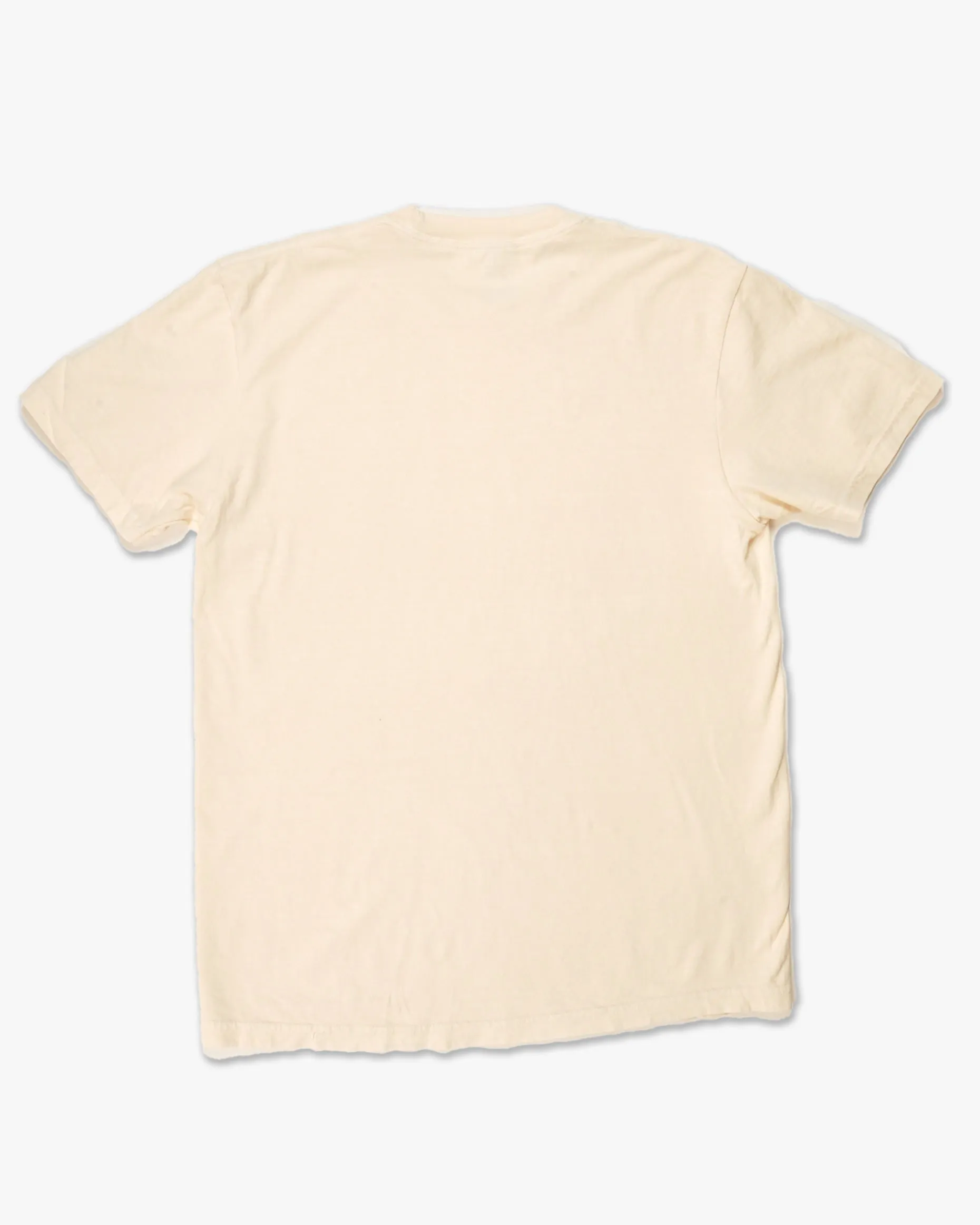 Giddy Up Vintage Wash Tee - Ivory sold by Camp Brand Goods product image thumbnail 2