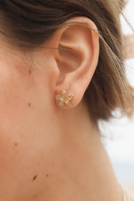 Boucles d'oreilles Vahina sold by Waekura