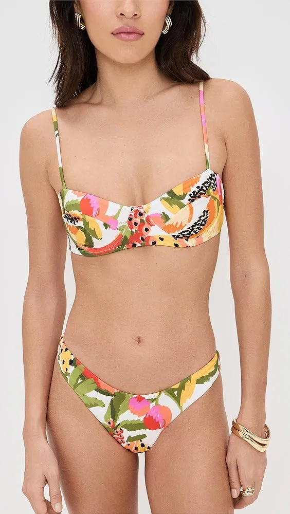 Fruits Paradise Bikini Bottom sold by Sand Dollar product image thumbnail 2