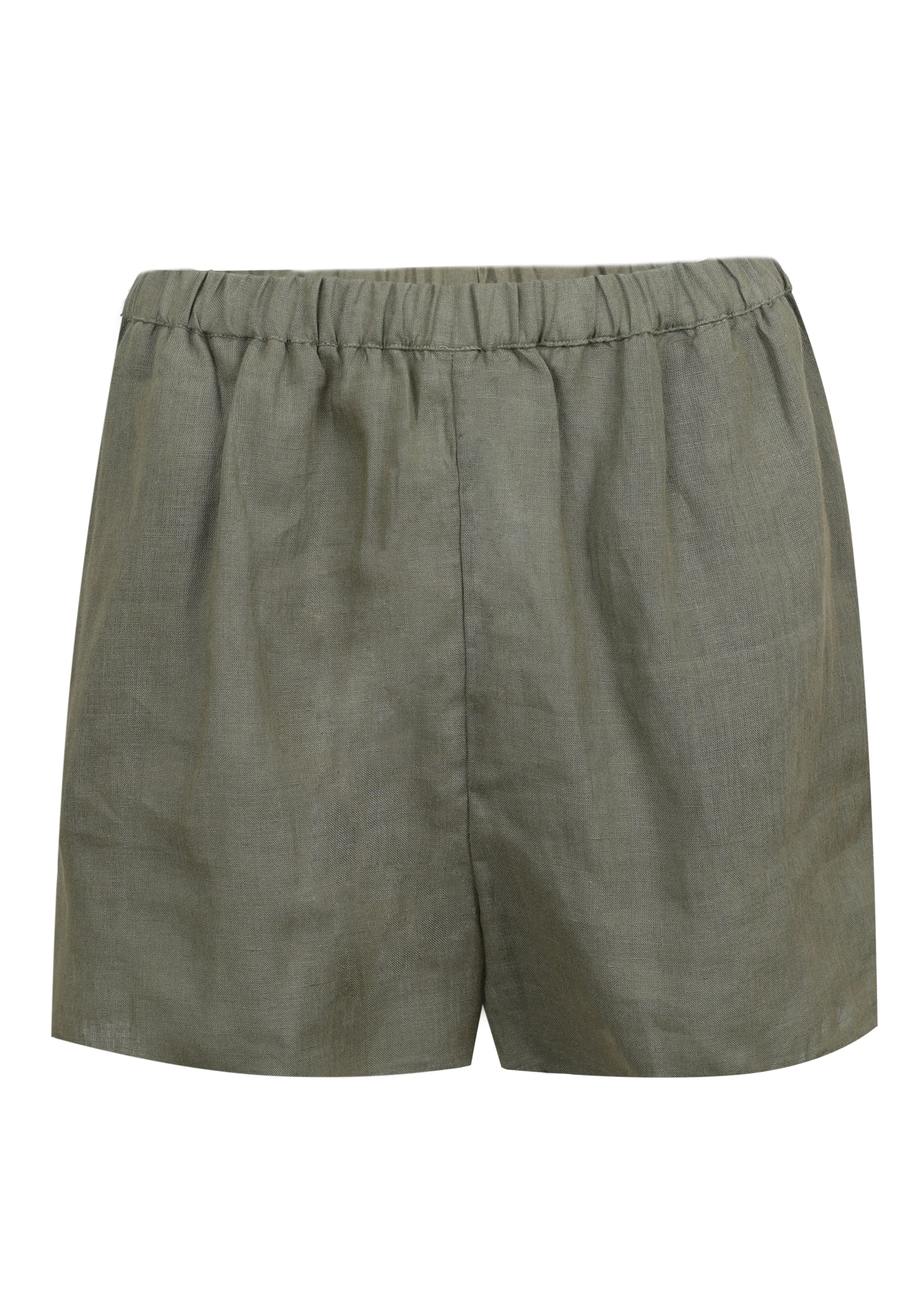 Tallows Short Agave sold by Sand Dollar