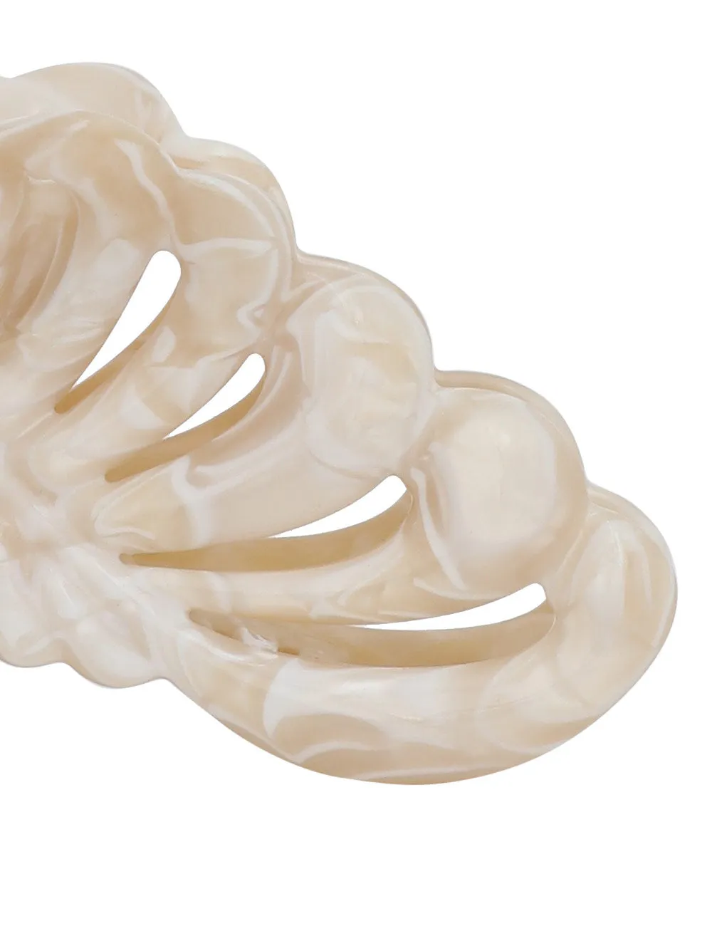 Palm Clasp Shell sold by Sand Dollar product image thumbnail 5