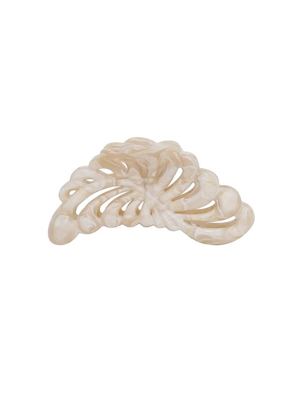 Palm Clasp Shell sold by Sand Dollar