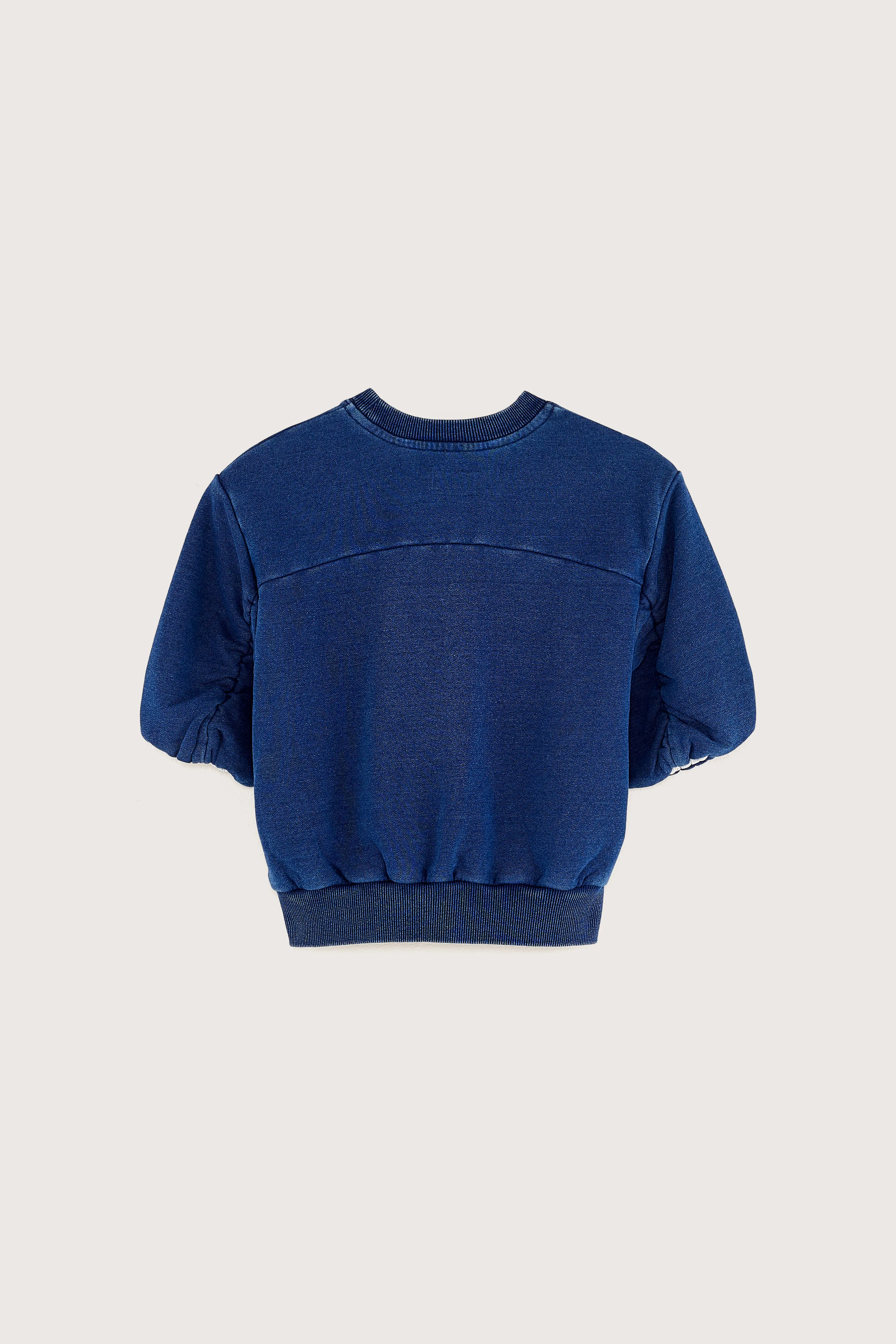 Agov crewneck sweatshirt (251 / G / INDIGO) sold by Bellrose product image thumbnail 4