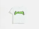 argi t-shirt (241 / G / ICE CUBE) sold by Bellrose