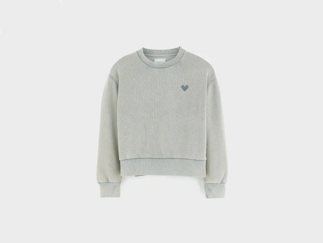 Fanzi crewneck sweatshirt (262 / G / THUNDER) made by Bellerose