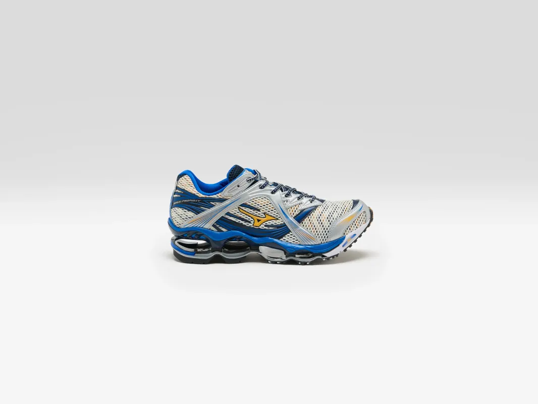Wave Prophecy 1 for Men (262 / M / BLUE) made by Mizuno