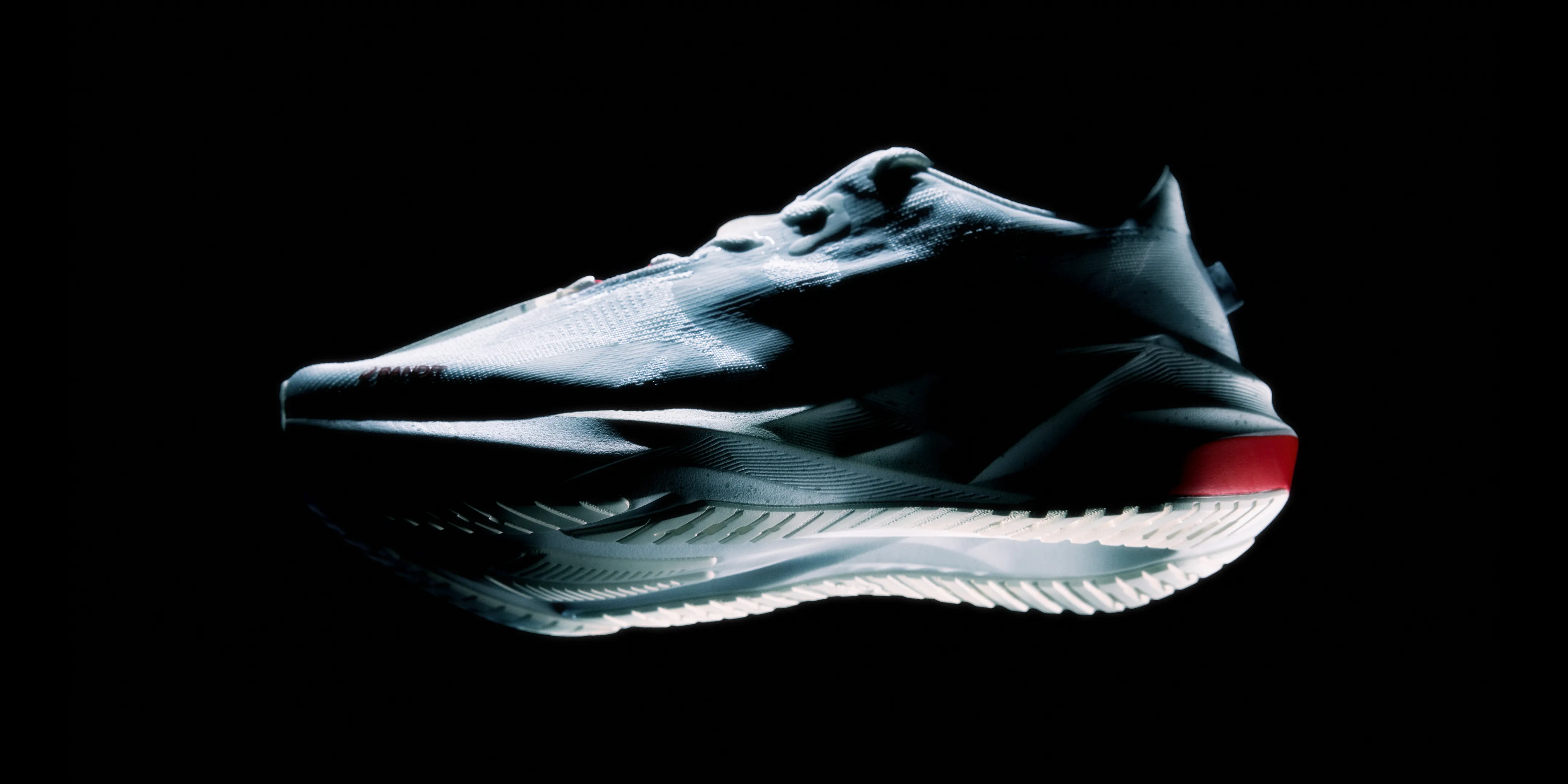 lorem ipsum steady state sold by Bandit Running
