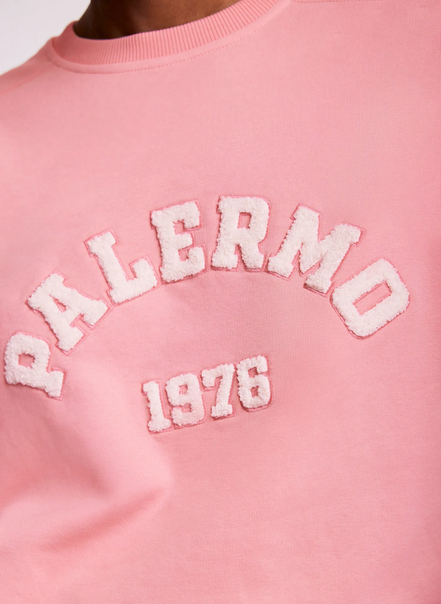 Pink Graphic Motif Sweatshirt sold by Mint Velvet product image thumbnail 4