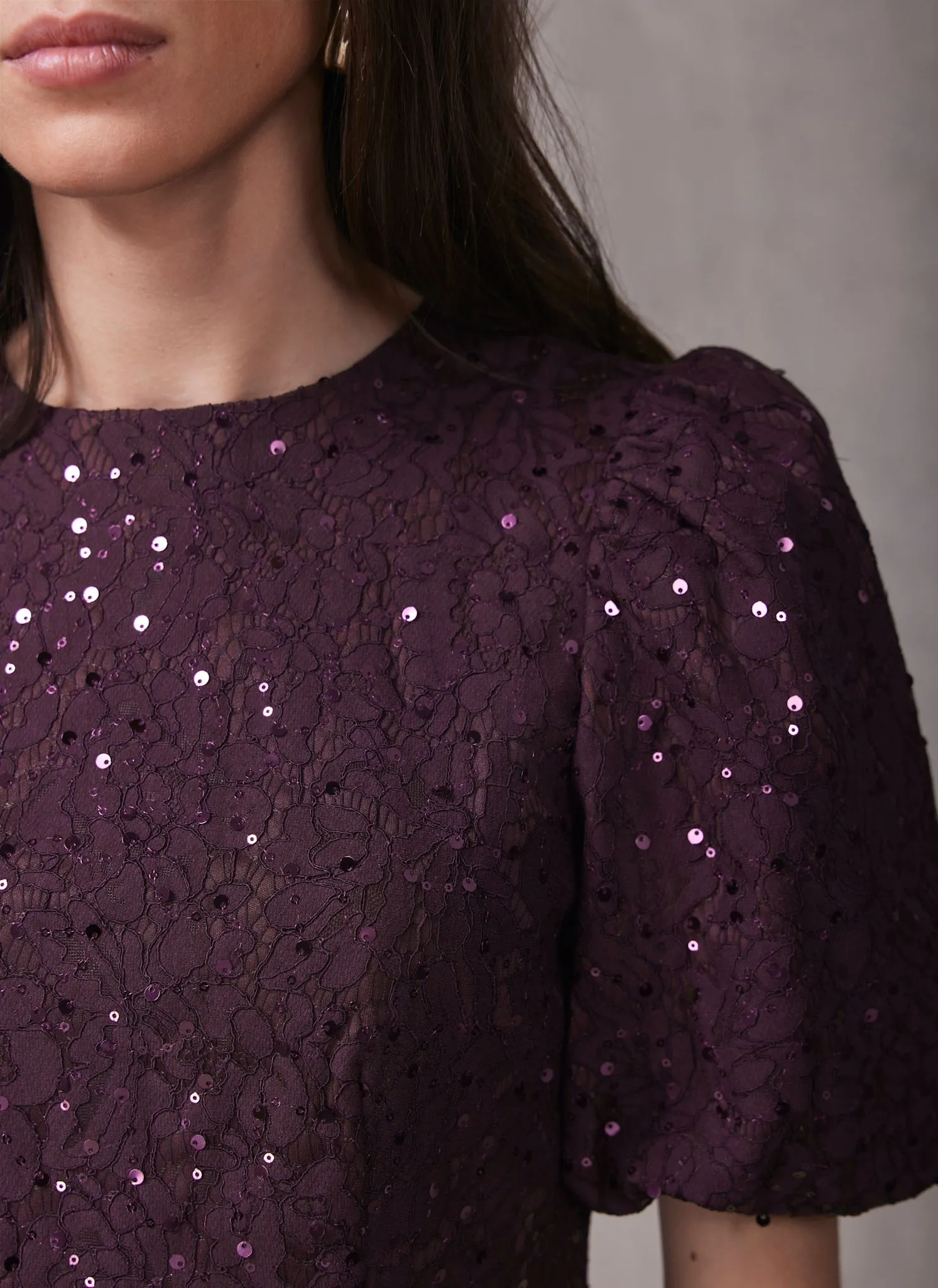 Burgundy Sequin Lace Puff Sleeve Top sold by Mint Velvet product image thumbnail 5