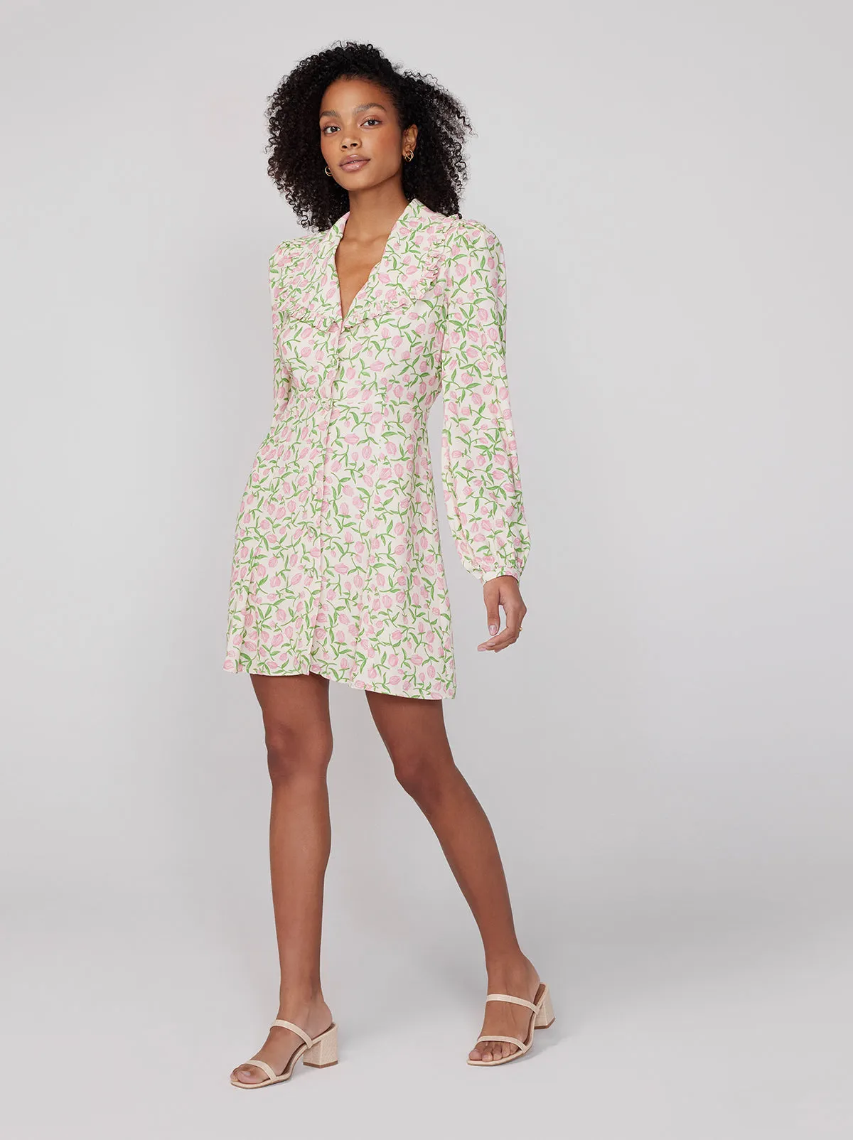 Tabitha Tulip Print Mini Dress sold by KITRI Studio product image thumbnail 2