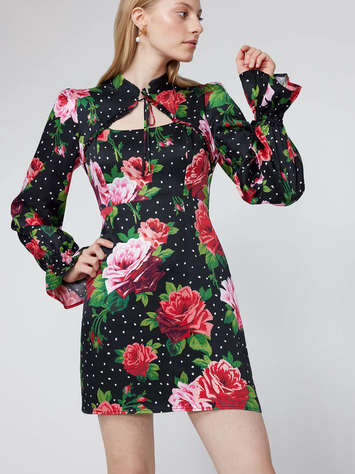 Valentina Red Painted Rose Mini Dress sold by KITRI Studio product image thumbnail 4