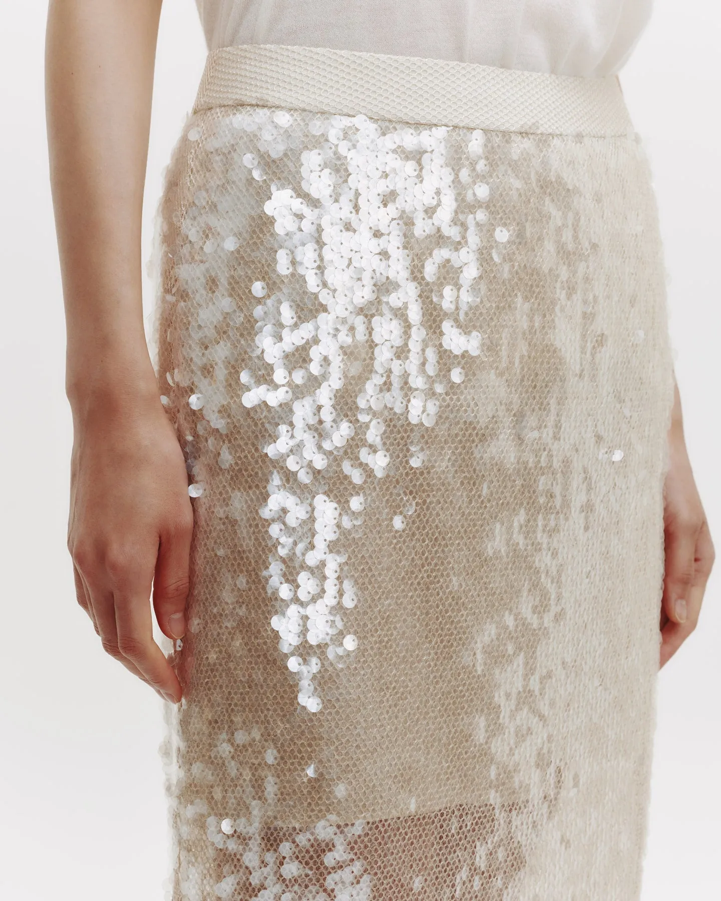Sylkie Skirt in Mesh with Sequins sold by TWP CLOTHING product image thumbnail 3