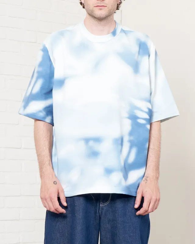 CF.21.01.05.06 BIG TEE heavy jersey shade print sold by Camiel Fortgens