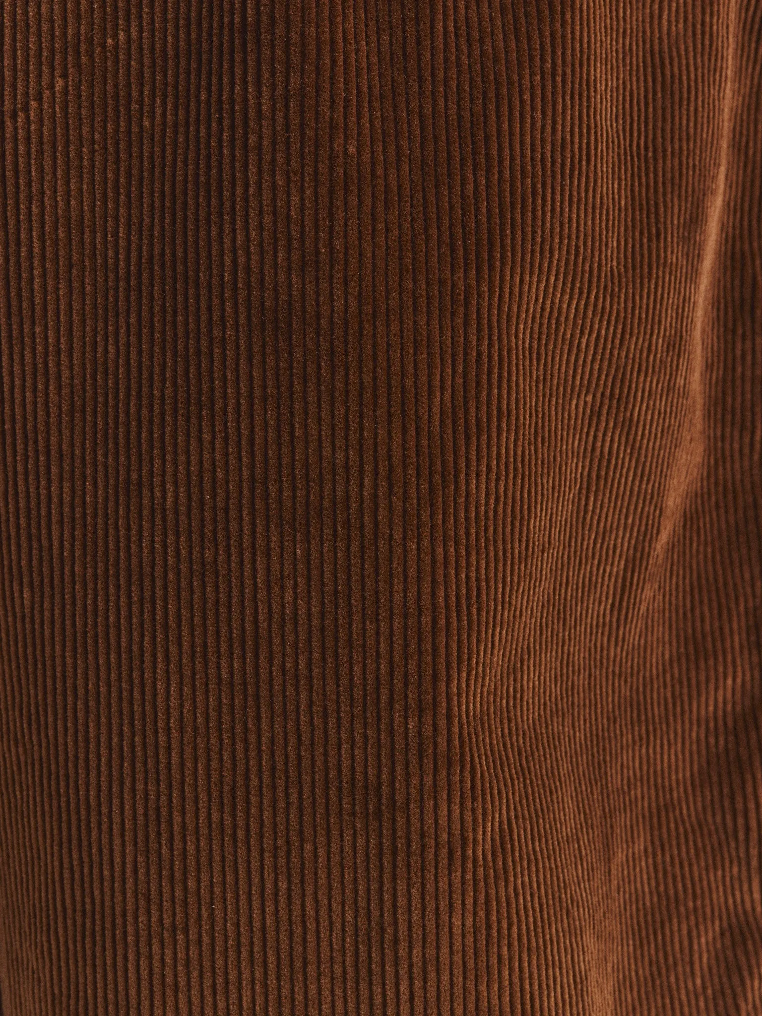 BRETT JACKET - H CORD - TAN sold by Casey Casey product image thumbnail 5