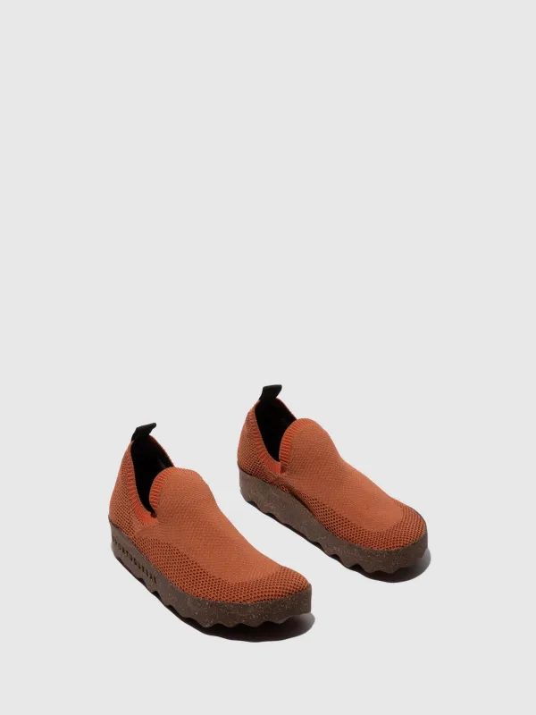 Elasticated Trainers CLIP CHESTNUT sold by Asportuguesas