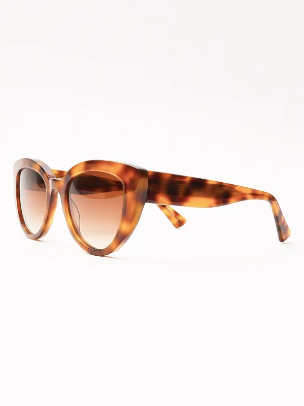 Tortoise Level Up Sunglasses made by Jimmy Fairly