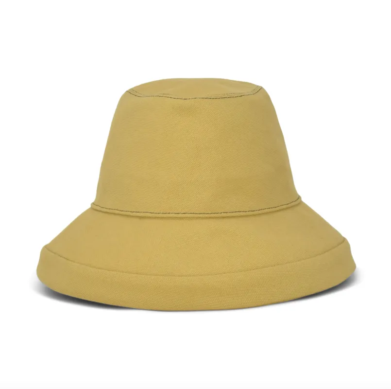 Leigh Anne | Camel sold by Gigi Burris