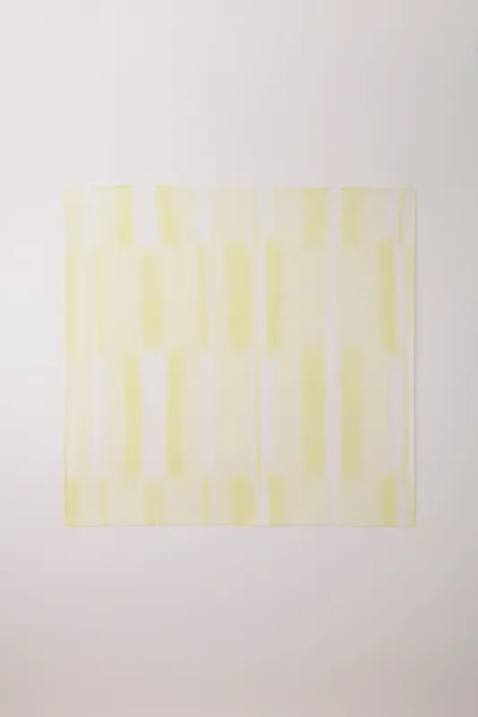 【2027年4月上旬頃配送】DYEING LUCENT SCARF made by CFCL Womens