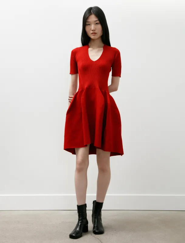 Pottery HS Stand Up Collar Mini Dress Red sold by SHOP NEIGHBOR