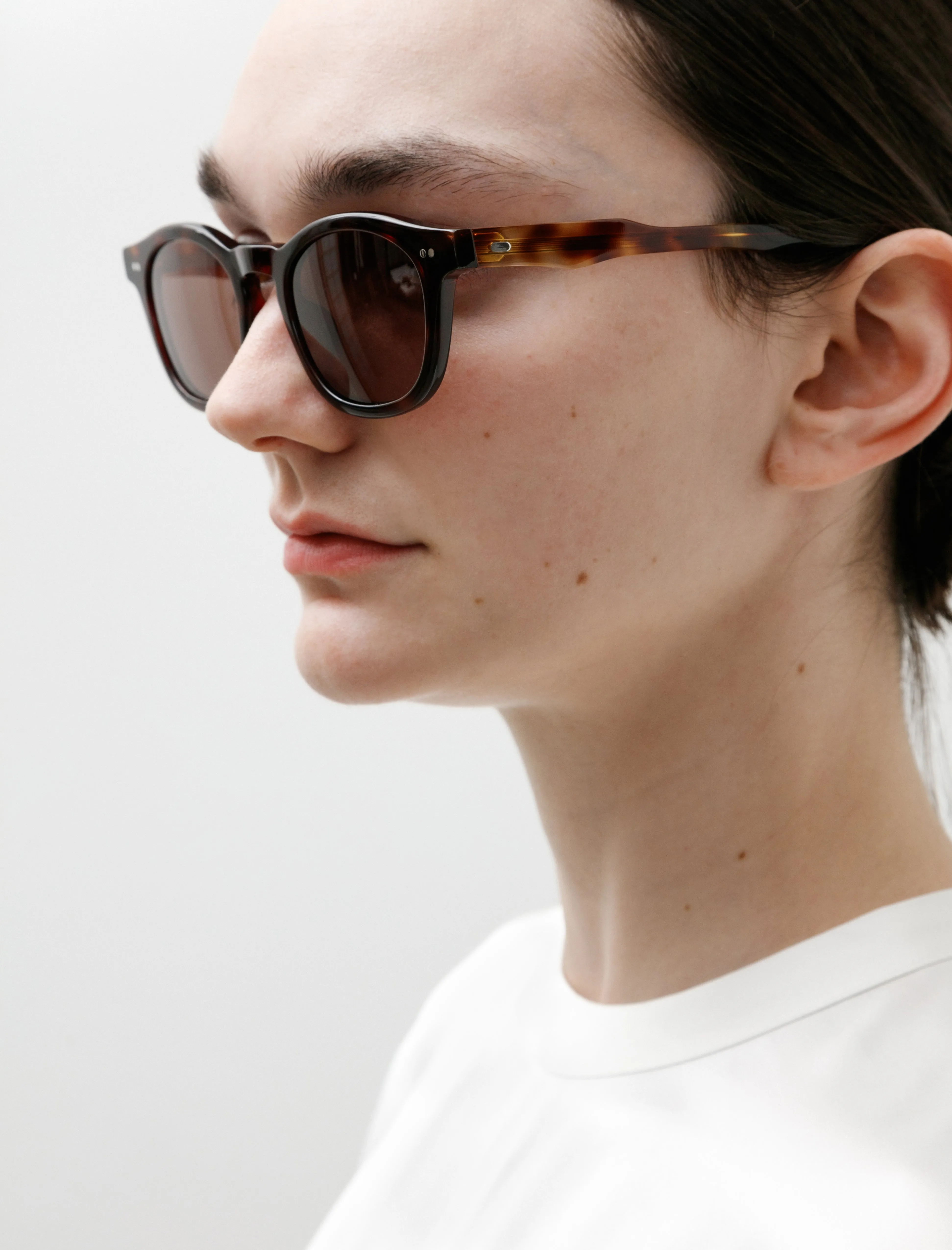 Alves II Sunglasses Tortoise sold by SHOP NEIGHBOR product image thumbnail 4