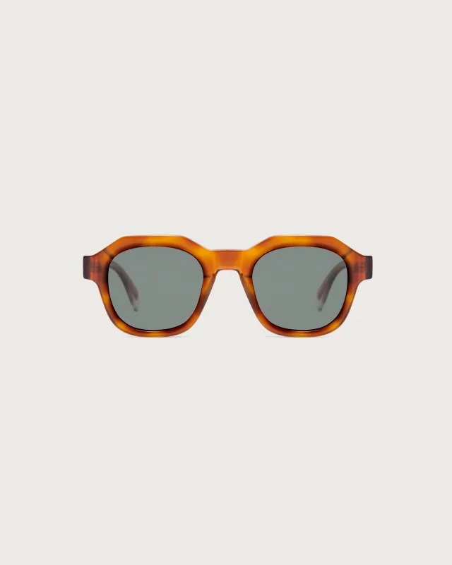 Gafas de sol havana Bryant sold by Thinking Mu