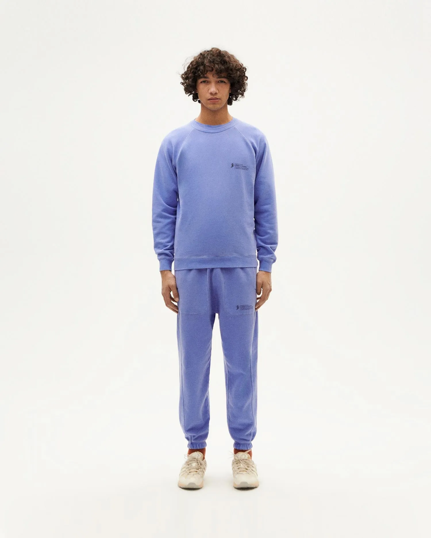 Sudadera unisex violeta tinte natural sold by Thinking Mu product image thumbnail 5