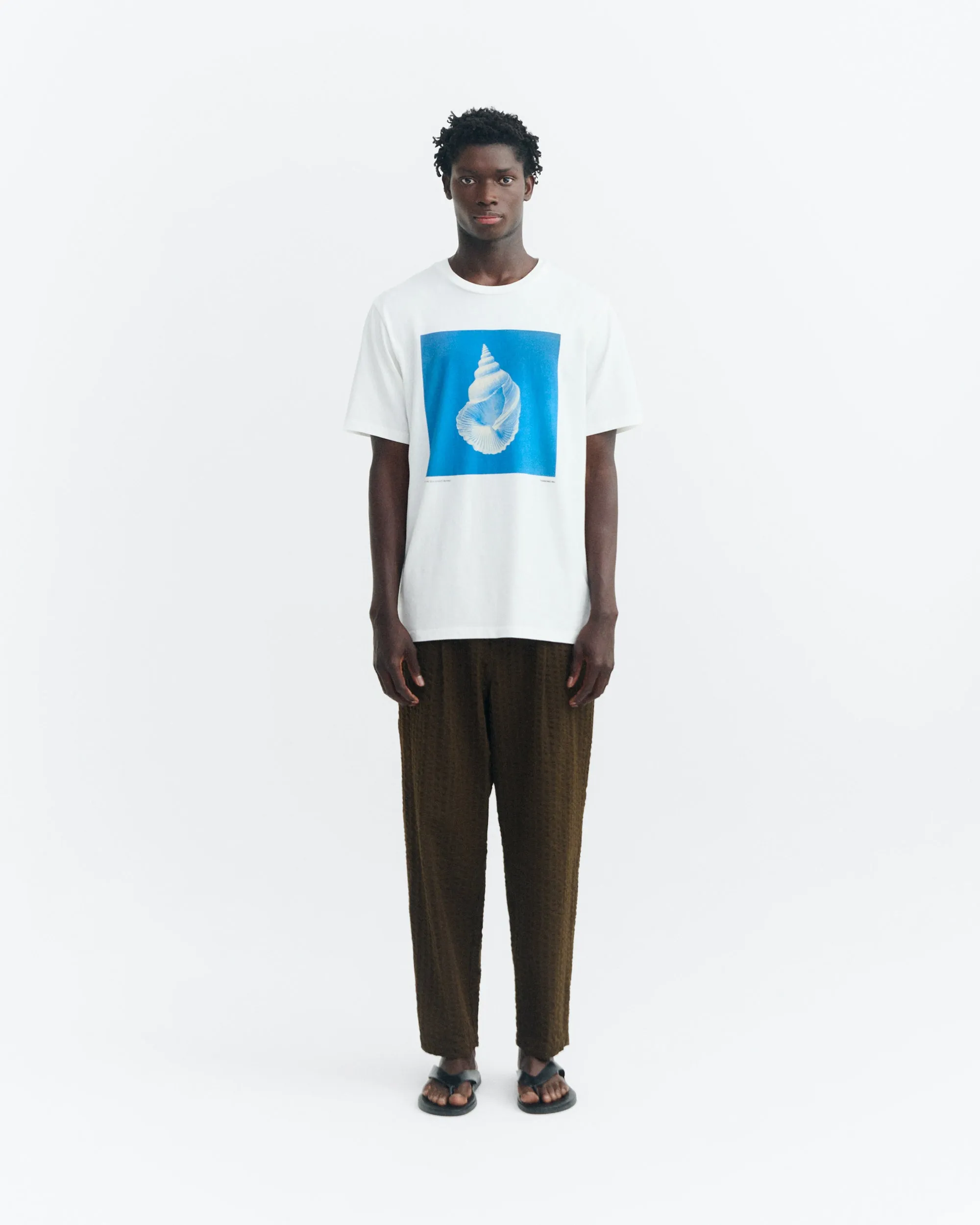 Camiseta sea treasure Zach sold by Thinking Mu product image thumbnail 2
