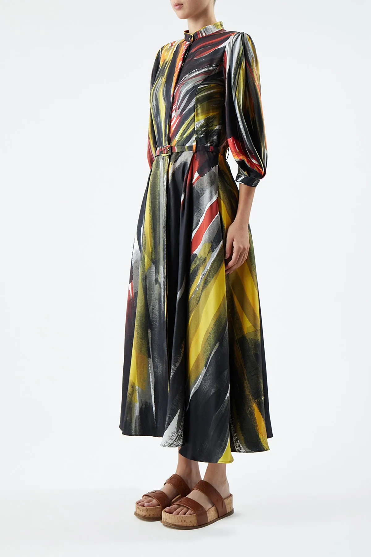 Dexter Dress in Multi Printed Silk sold by Gabriela Hearst product image thumbnail 4