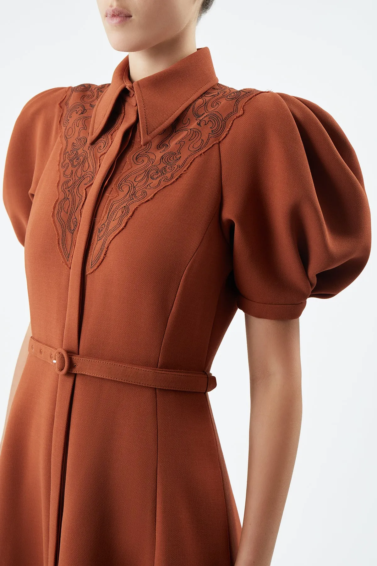 Billy Dress in Red Clay Double-Face Wool Crepe sold by Gabriela Hearst product image thumbnail 5