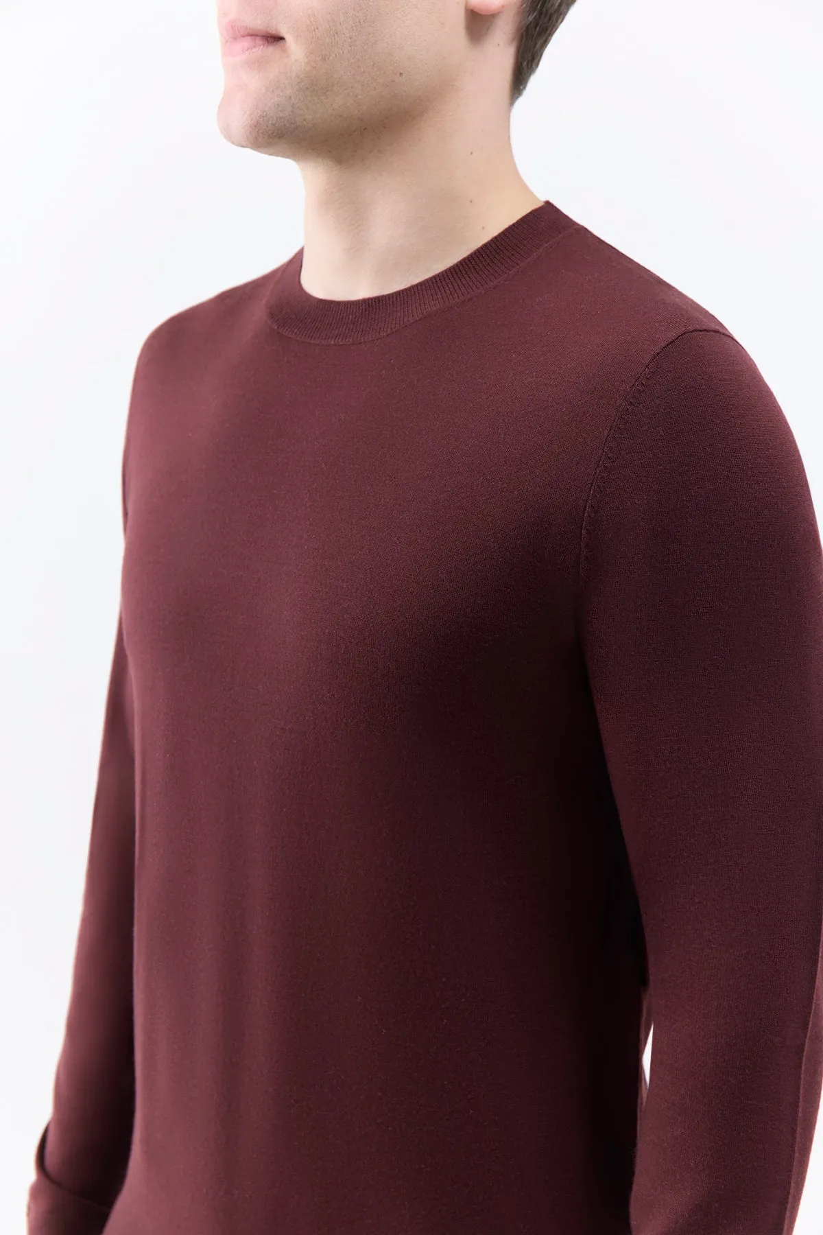Palco Knit Crewneck in Deep Bordeaux Merino Wool sold by Gabriela Hearst product image thumbnail 5