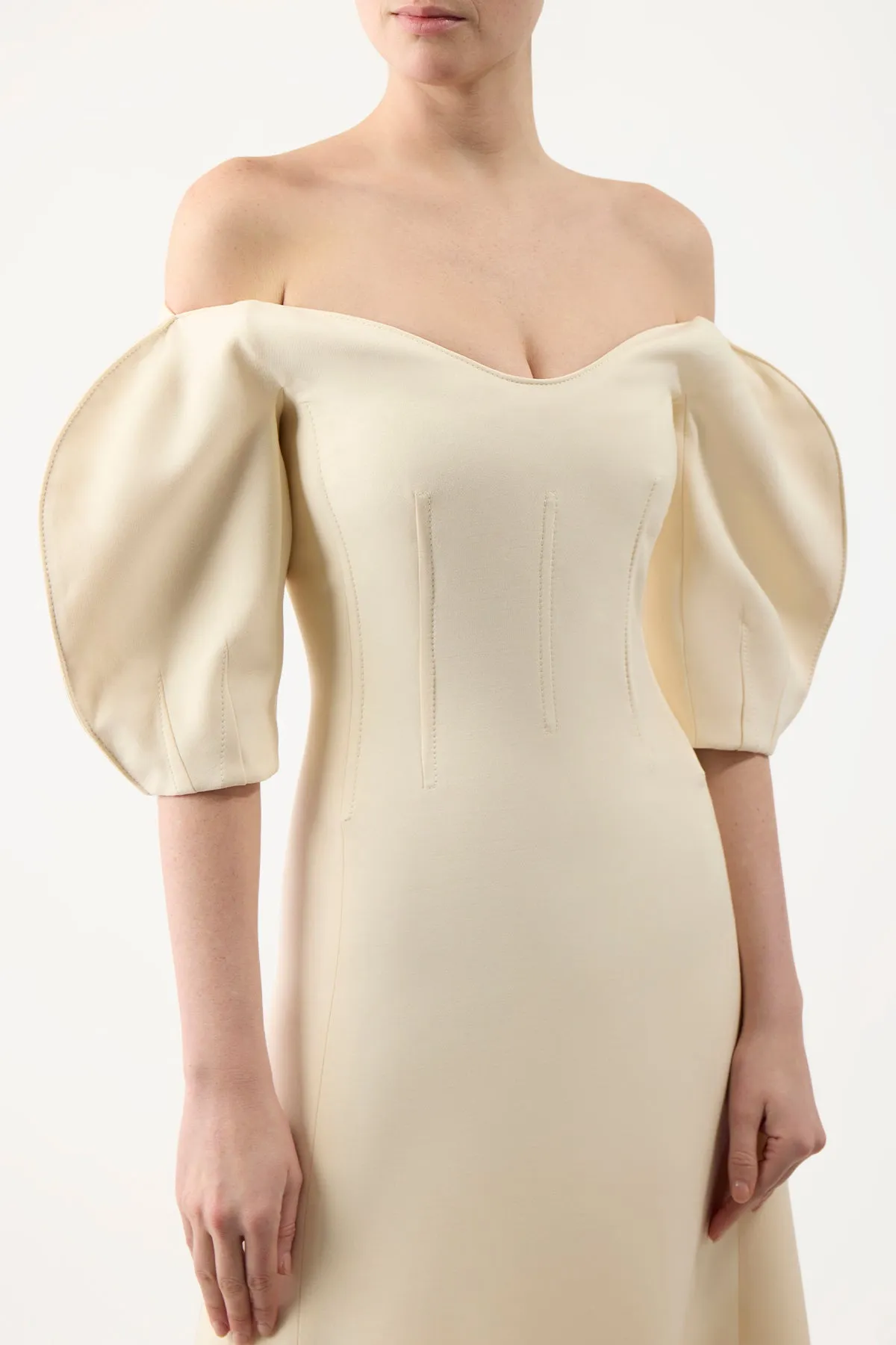 Buisier Dress in Ivory Wool Silk Cady sold by Gabriela Hearst product image thumbnail 5
