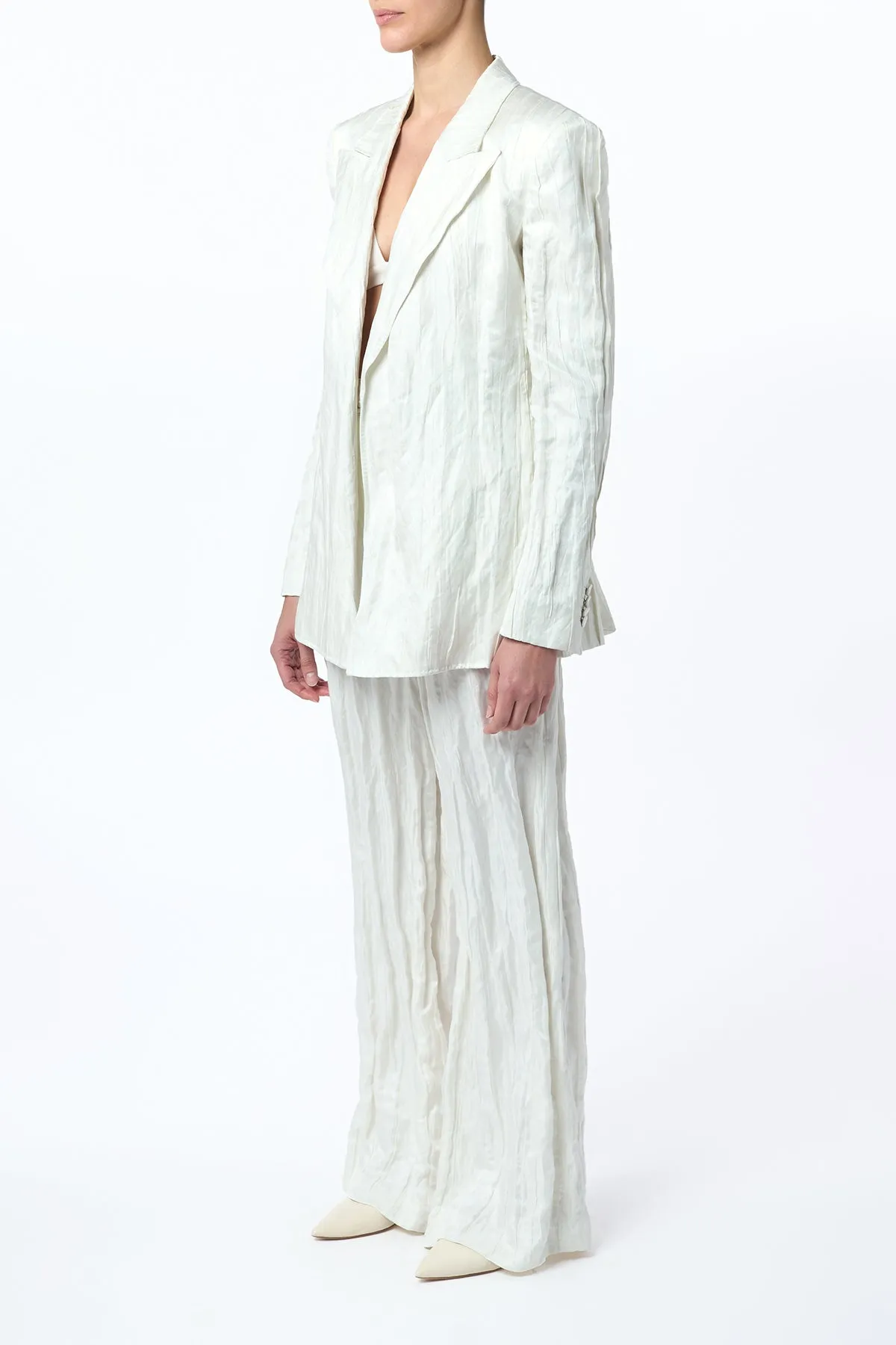 Norman Crinkled Wide-Leg Pant in Ivory Metallic Silk sold by Gabriela Hearst product image thumbnail 3