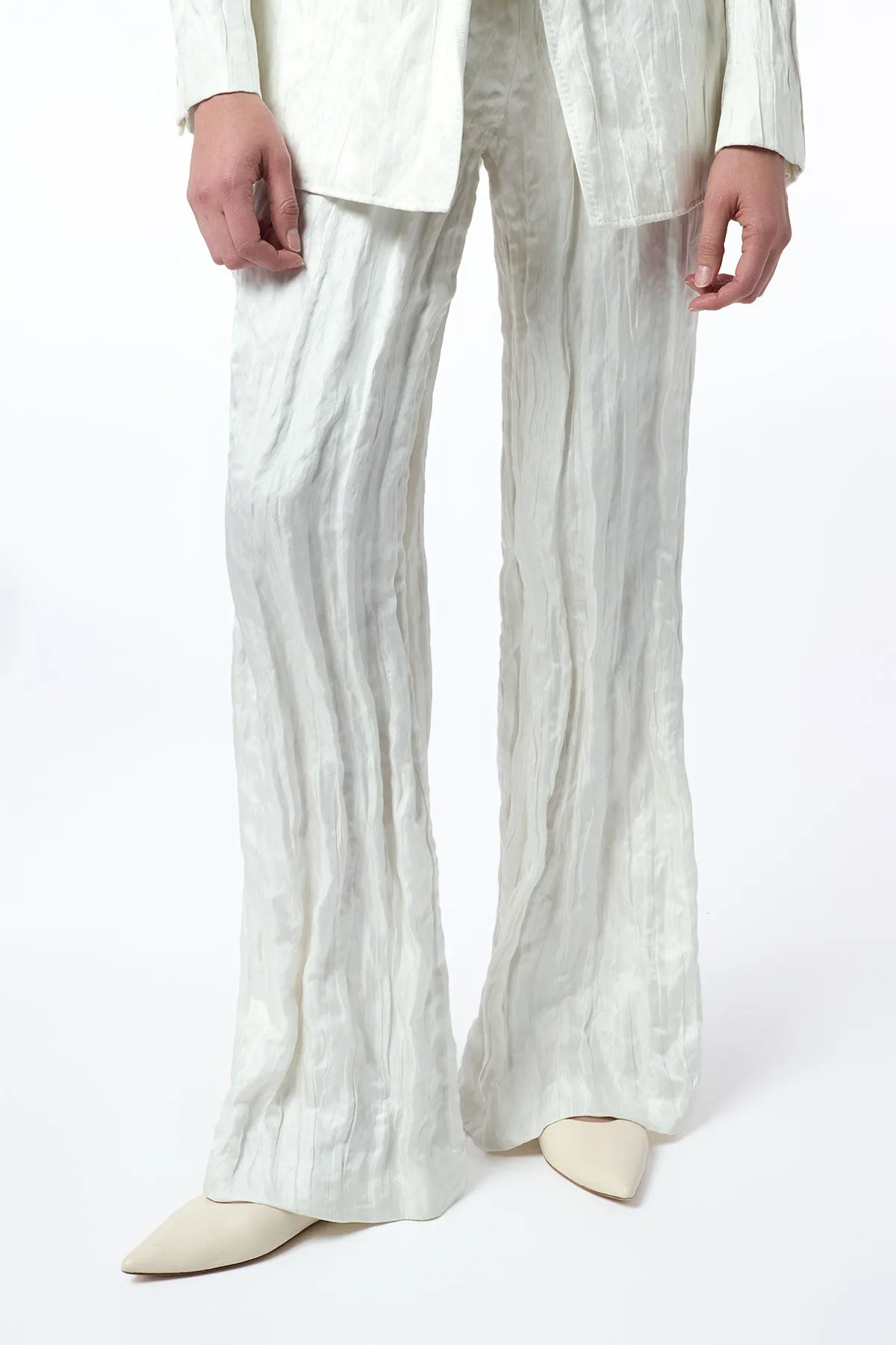 Norman Crinkled Wide-Leg Pant in Ivory Metallic Silk sold by Gabriela Hearst product image thumbnail 5