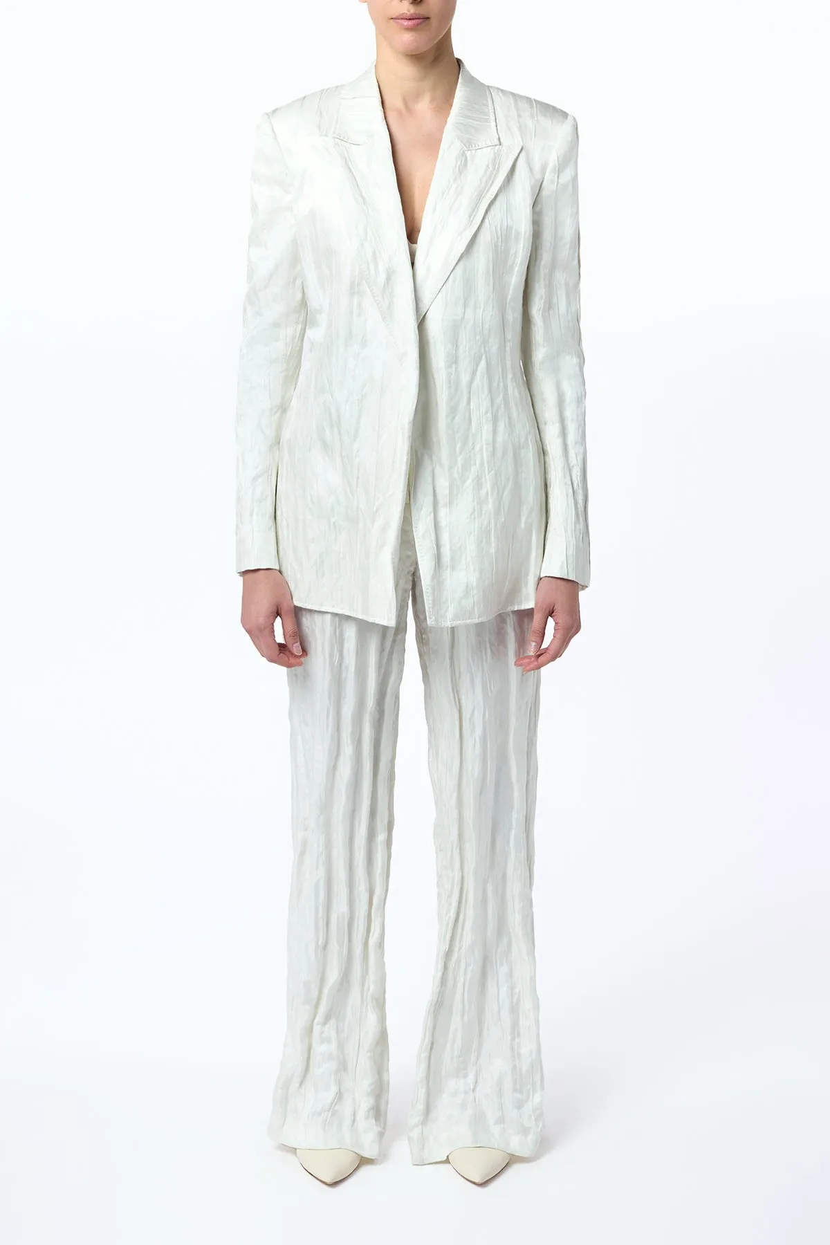 Norman Wide-Leg Pant in Ivory Metallic Crinkled Silk sold by Gabriela Hearst product image thumbnail 2