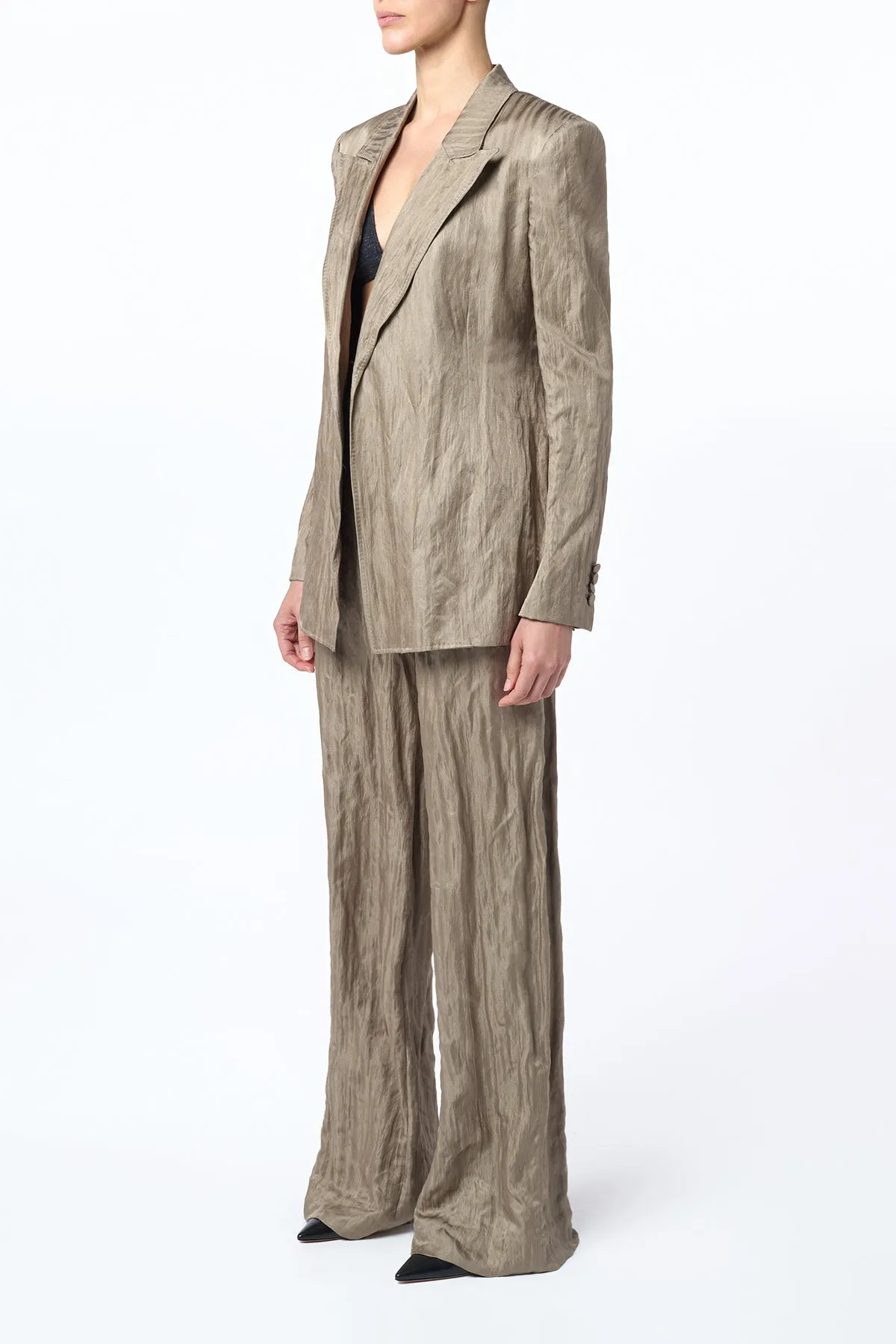 Norman Wide-Leg Pant in Gunmetal Metallic Crinkled Silk sold by Gabriela Hearst product image thumbnail 3
